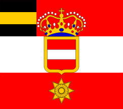 [Major General’s Flag, 1894]