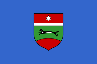 [Virovitica and Podravina County, 1994 – 1996]